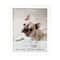 Home 11" x 14" White Flat Frame by Studio Décor®